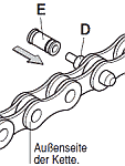 campychain1