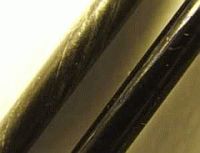 spoketorn